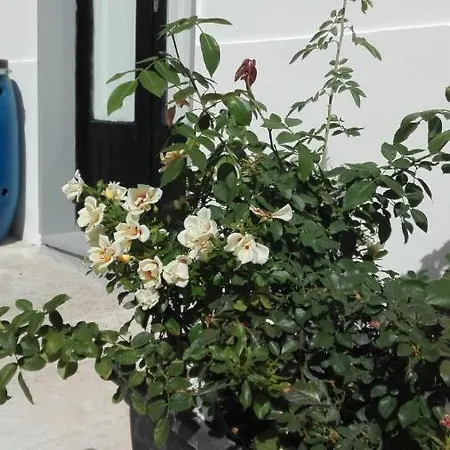 Only For Two Giumbabulla