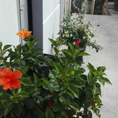 Only For Two Giumbabulla