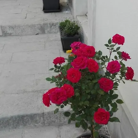 Only For Two Giumbabulla