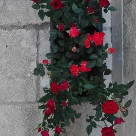 Only For Two Giumbabulla Ragusa